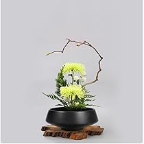 花器　水盤 Amazon.co.jp: 花器 水盤 生け花用花き Fukuka高さ8CM1個入りフラワー